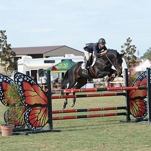 Meet your Posher, Sam